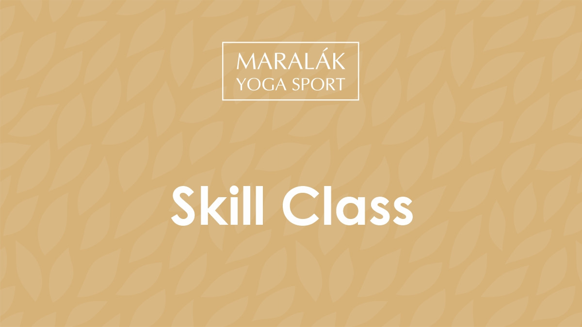 Skill class